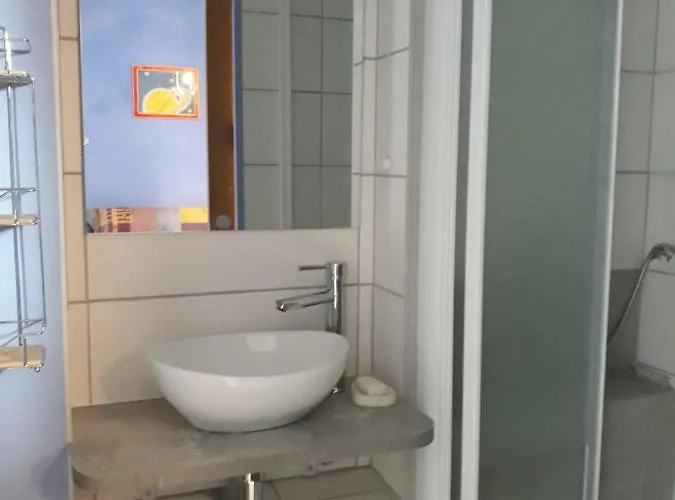 Rez De Jardin Et Garage Prive La Plagne