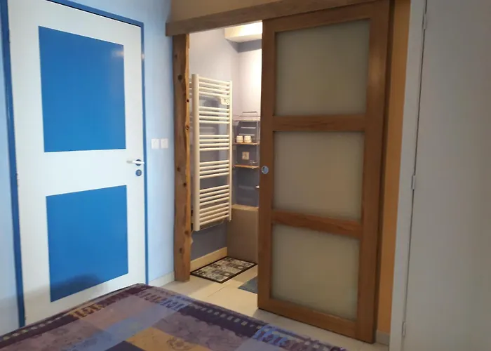 Rez De Jardin Et Garage Prive *