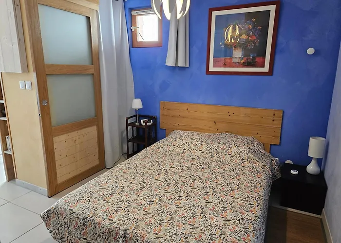 Rez De Jardin Et Garage Prive La Plagne