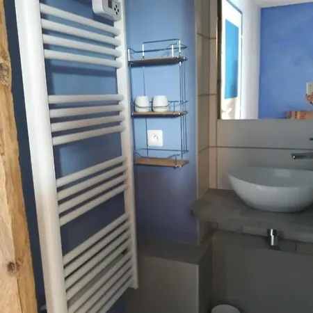 Rez De Jardin Et Garage Privé * La Plagne