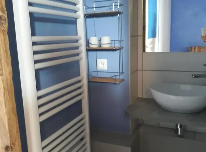 Rez De Jardin Et Garage Prive * La Plagne